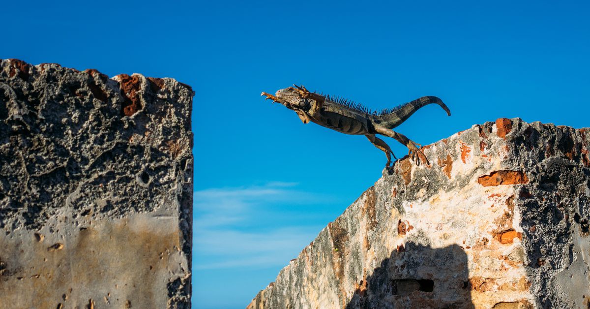 First Mover Americas: Bitcoin Jumps After CPI Comes In Lower Than Expected