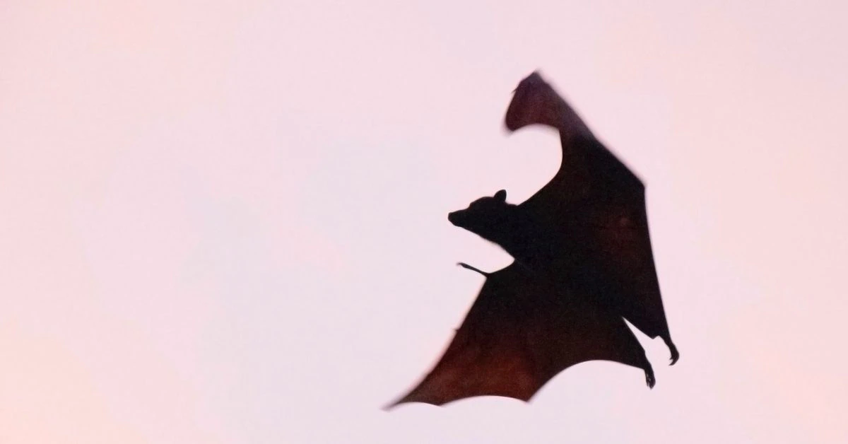 As Interest Rates Rise, a Silent Vampire Attack on Crypto