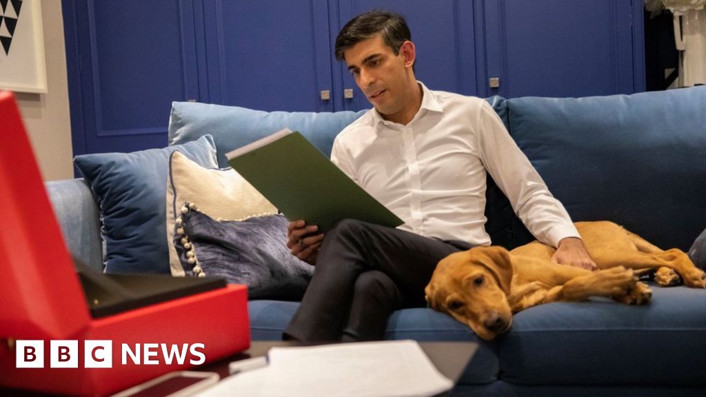 Rishi Sunak spoken to by police after dog let off lead in Hyde Park