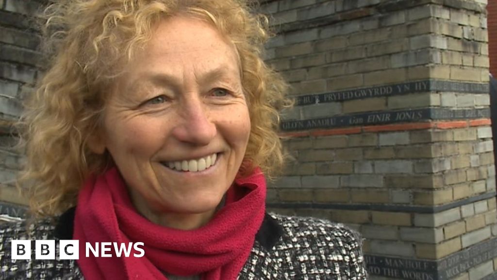 Neath Labour MP Christina Rees suspended pending investigation