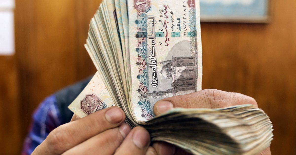 Egypt’s currency slides as IMF deal triggers new FX regime