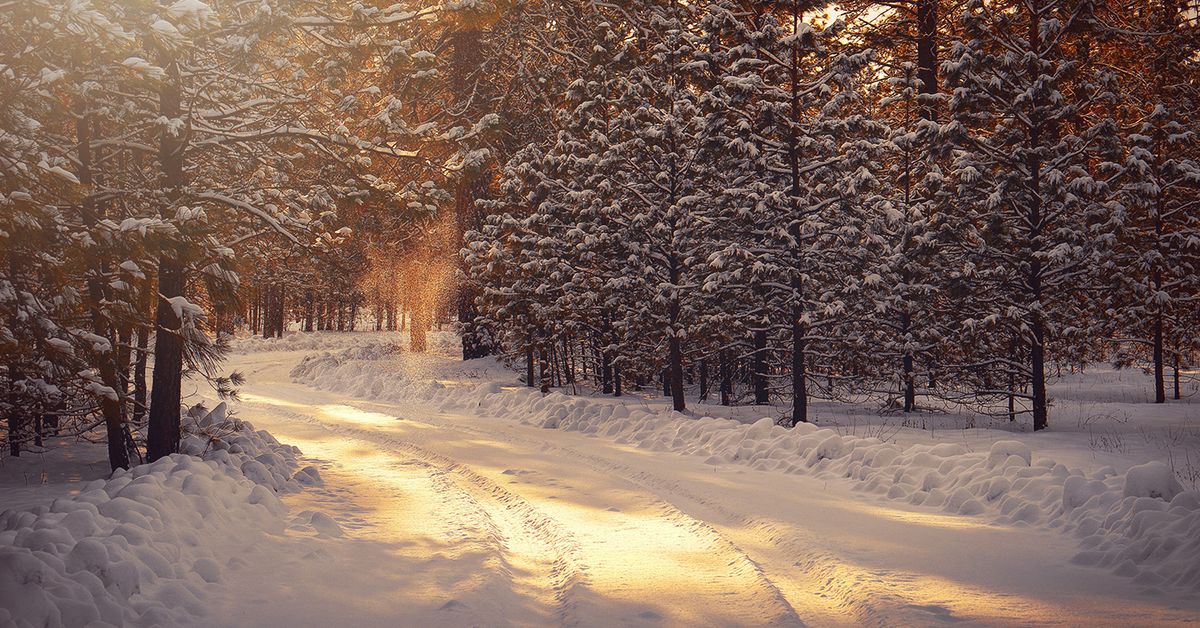 Bitcoin Holds Fast Over 16K, but Crypto Winter Could Be Prolonged
