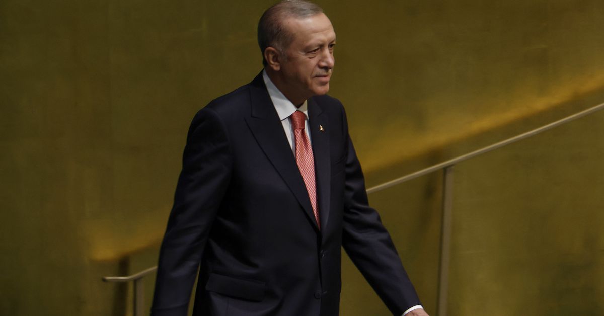 Build on Blockchain, Stay Away From Crypto Gambling, Turkey’s Erdoğan Says