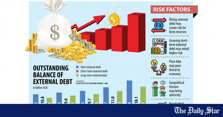 Rising external debt poses risks to forex reserves