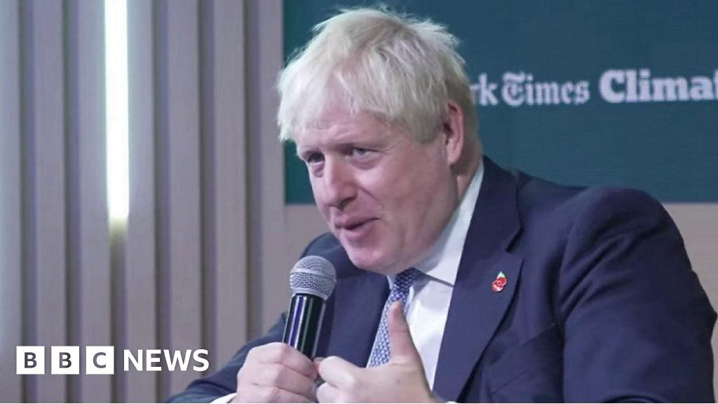 COP27: Boris Johnson at summit in ‘purely supportive role’