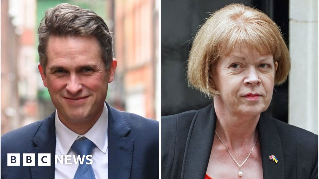 Sir Gavin Williamson reported to bullying watchdog