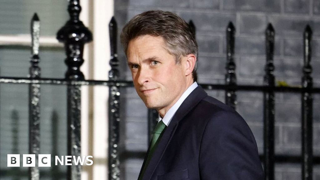Gavin Williamson: More MPs planned to complain before resignation