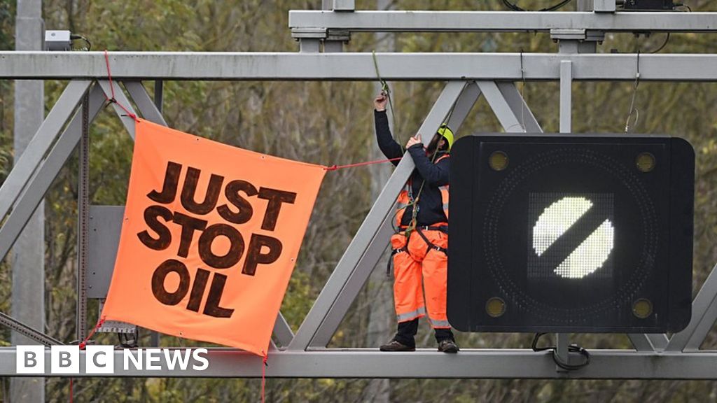 Just Stop Oil: Greens co-leader Carla Denyer criticises some of activists’ tactics