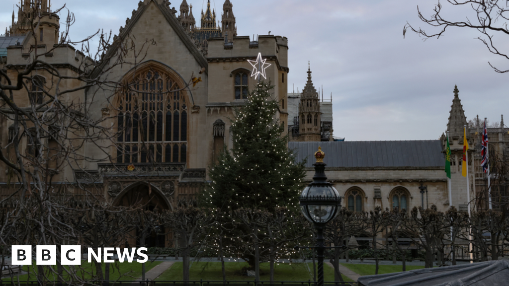 Watchdog apologises after MPs' Christmas expenses row
