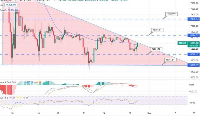 Bitcoin to Rebound Over $16,000 – Quick Daily Outlook
