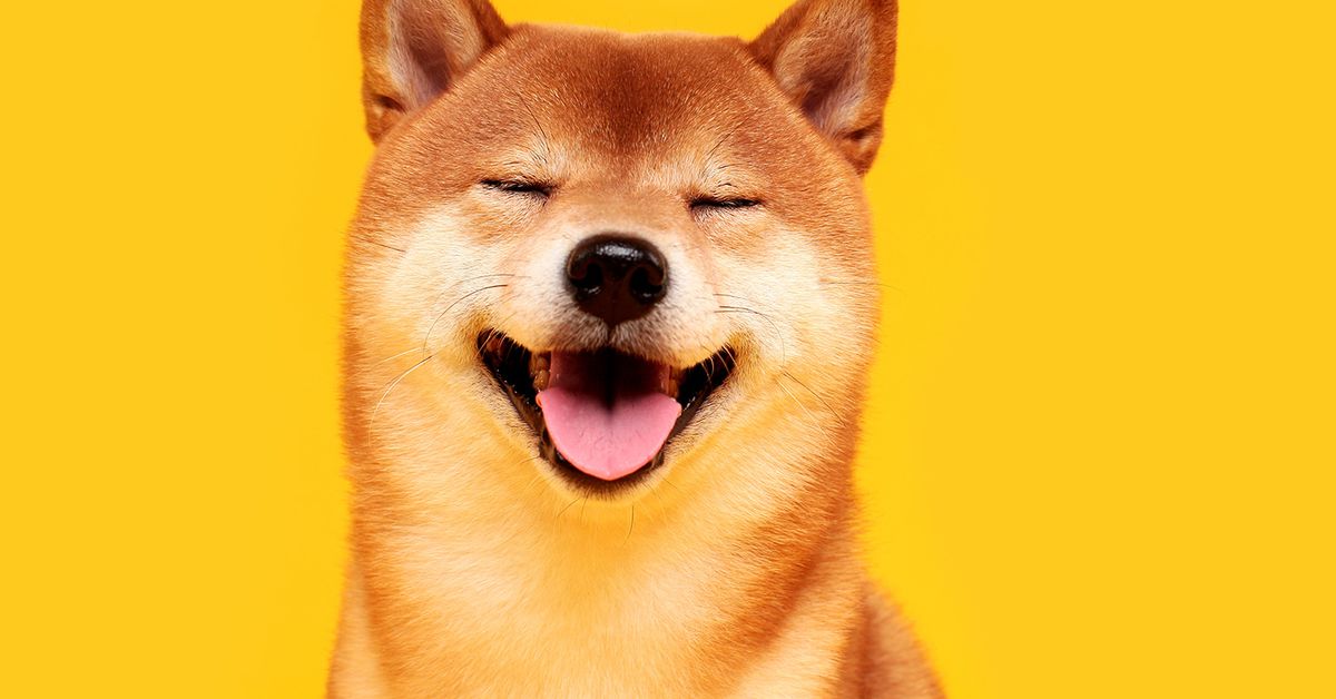 SHIB Surges 20%, DOGE up 5% as Traders Continue to go Ape for Meme Coins