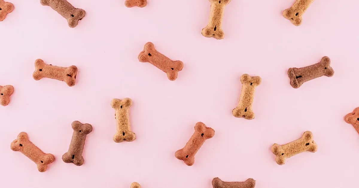 First Mover Americas: DOGE Doubles in October, Coinbase Goes to Bat for Ripple