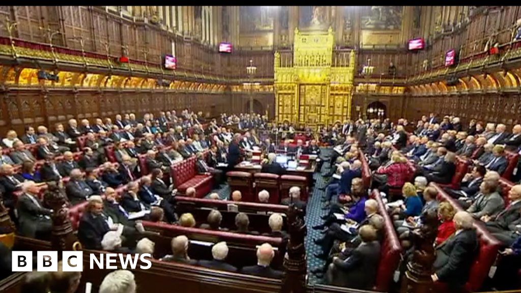 What’s the House of Lords? Your questions answered