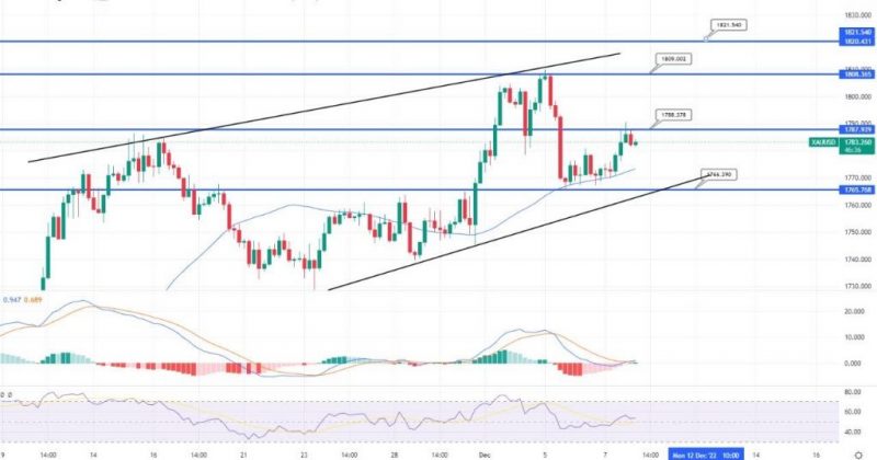 Gold Bullish Bias Dominates – Quick Daily Outlook