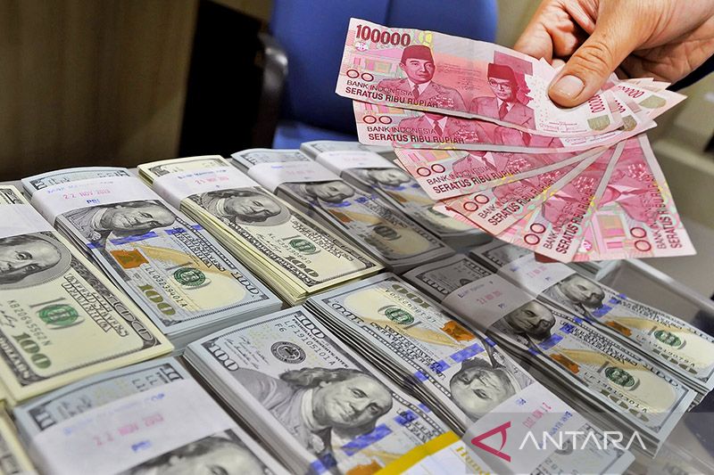 Weak rupiah may pull down forex reserves: economist