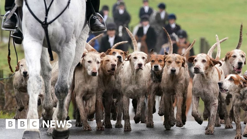 New Scottish fox hunting bill to pass 20 years after ban