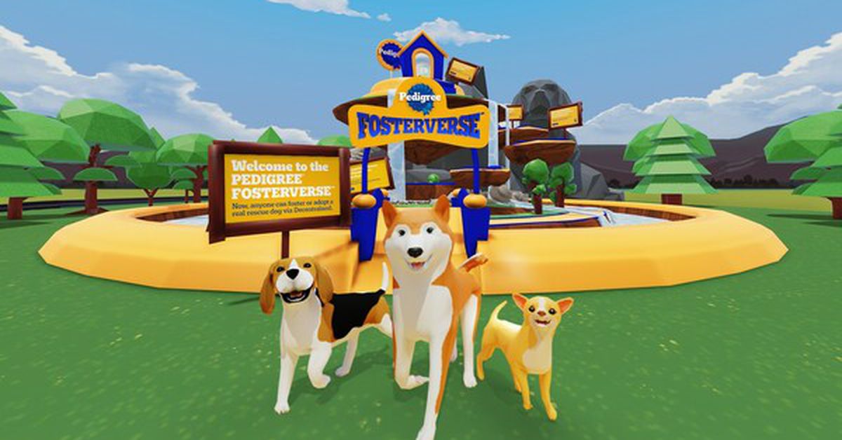 Pedigree Unleashes Virtual Fostering in Decentraland to Find Real Dogs Homes