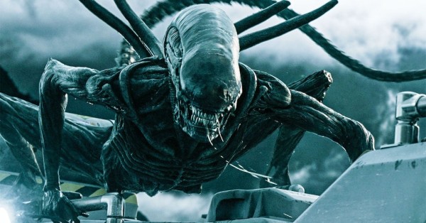 Scripts Are Written, FX Chief Reveals