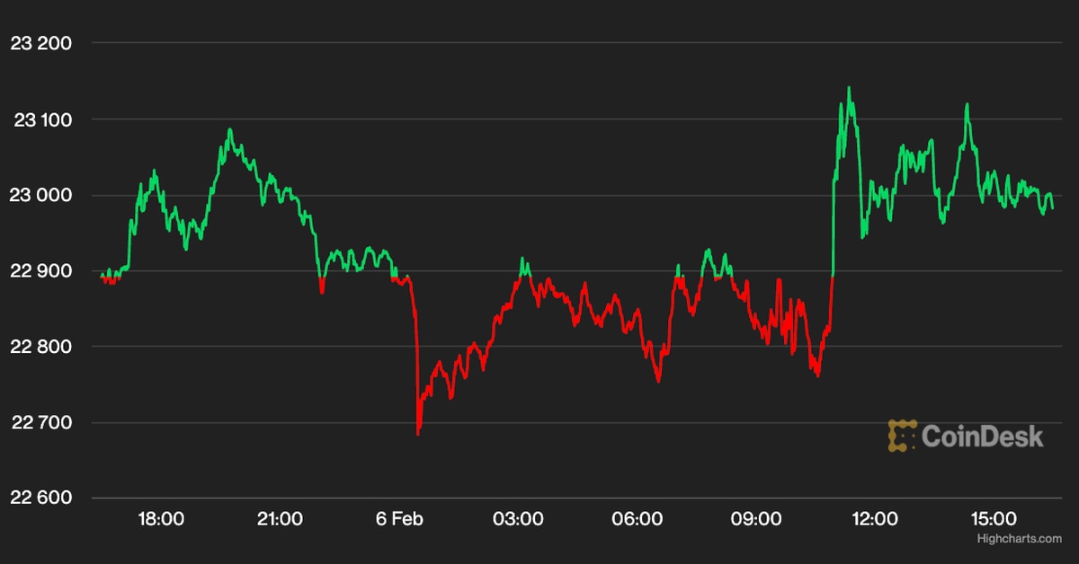 Bitcoin Holds Steady Near $23K as Investors Weigh Their Next Steps