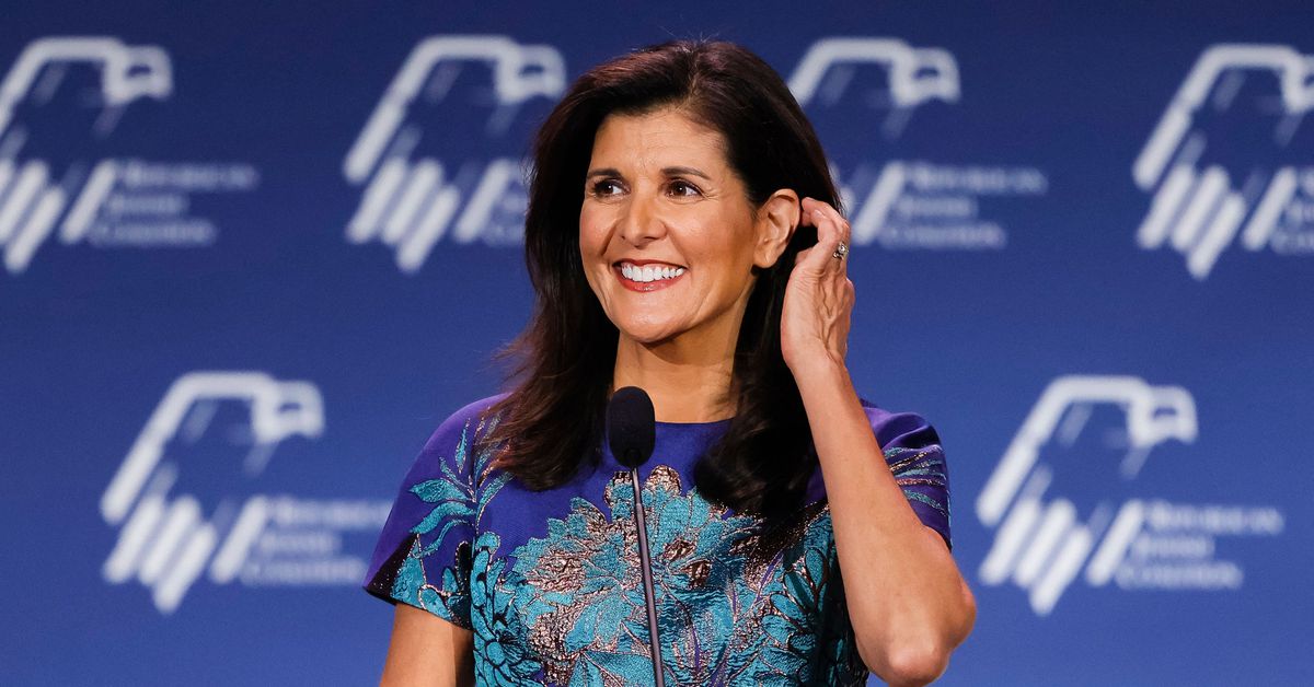 Nikki Haley vows to take on “bullies” in 2024 bid against Donald Trump