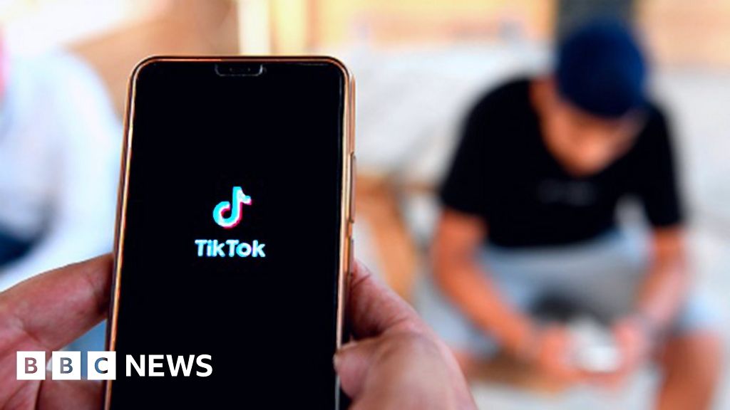 Security minister asks cyber experts to investigate TikTok