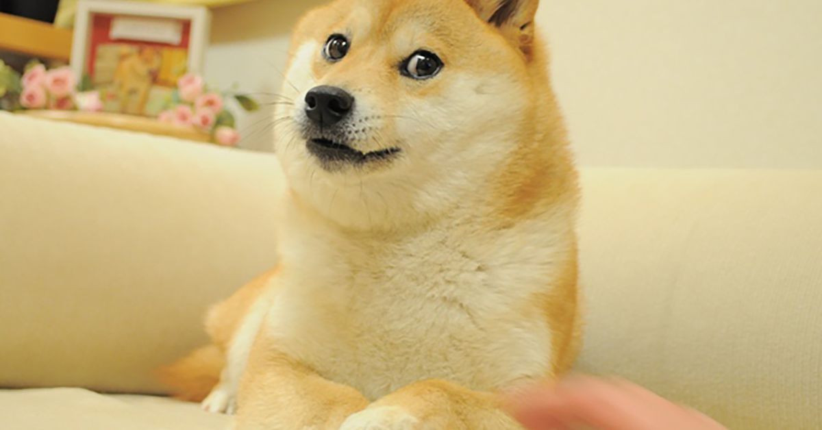 Shiba Inu Will Tie Digital Identity to All Applications in a Bid to Move Away From Meme Coin Status