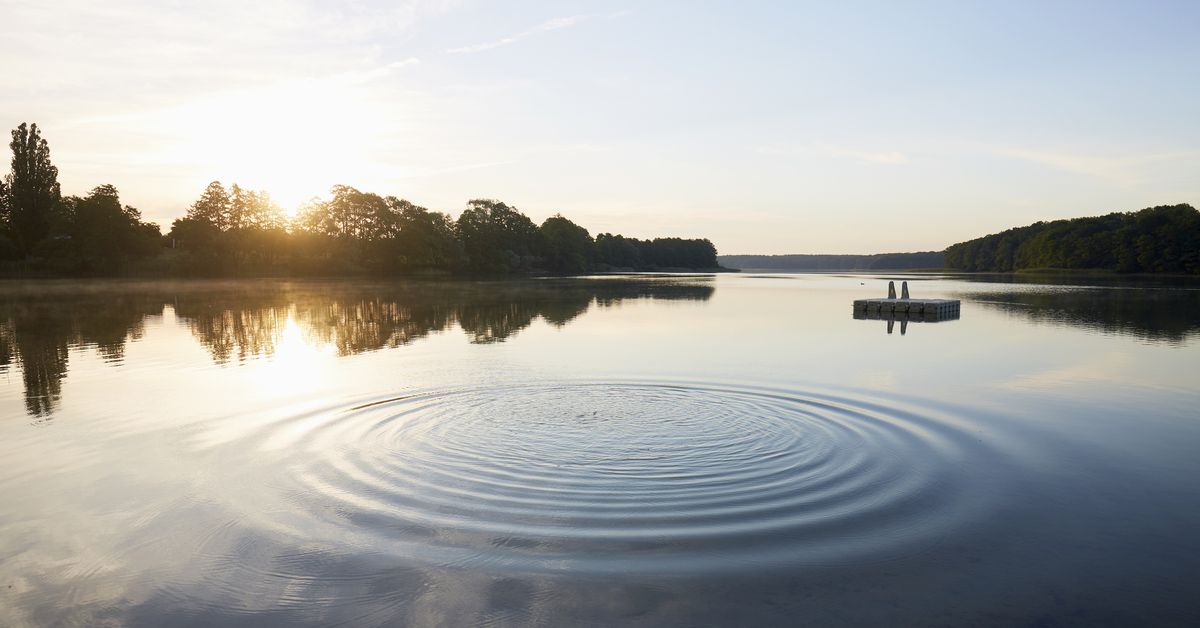 The Ripple Effect