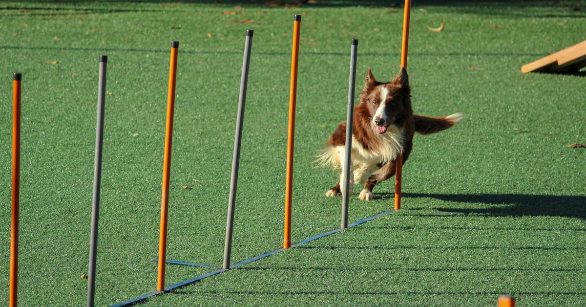 Total Value on Liquid Staking Platform Agility Soars to $467M Following Ethereum Shapella