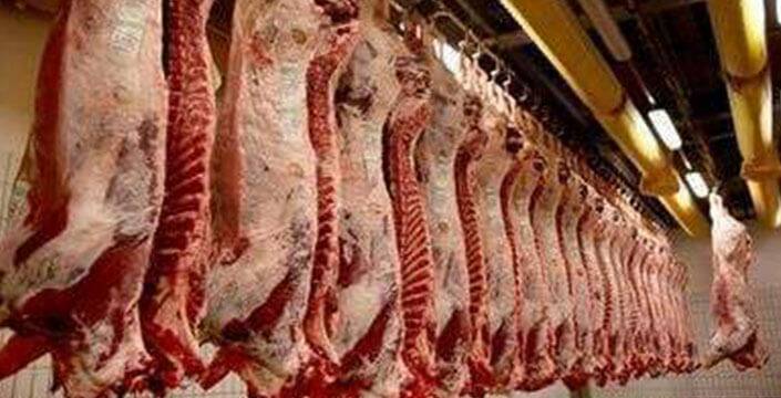 Forex Rush Disrupts Meat Export | The Reporter