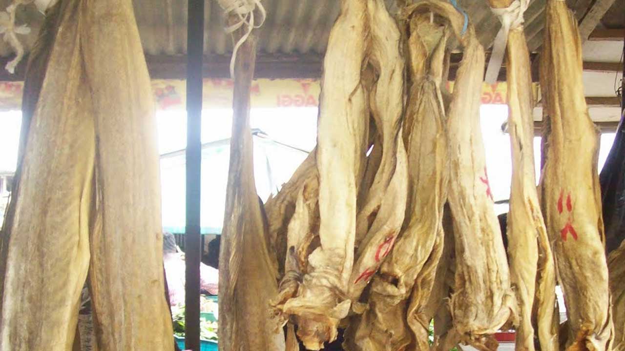 Stockfish importers decry forex ban on produce | The Guardian Nigeria News