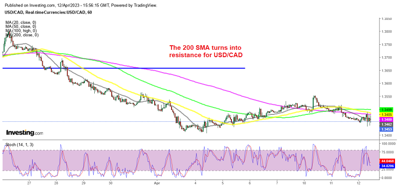 USD/CAD Remains Down After BOC Keeps Rates on Hold Again