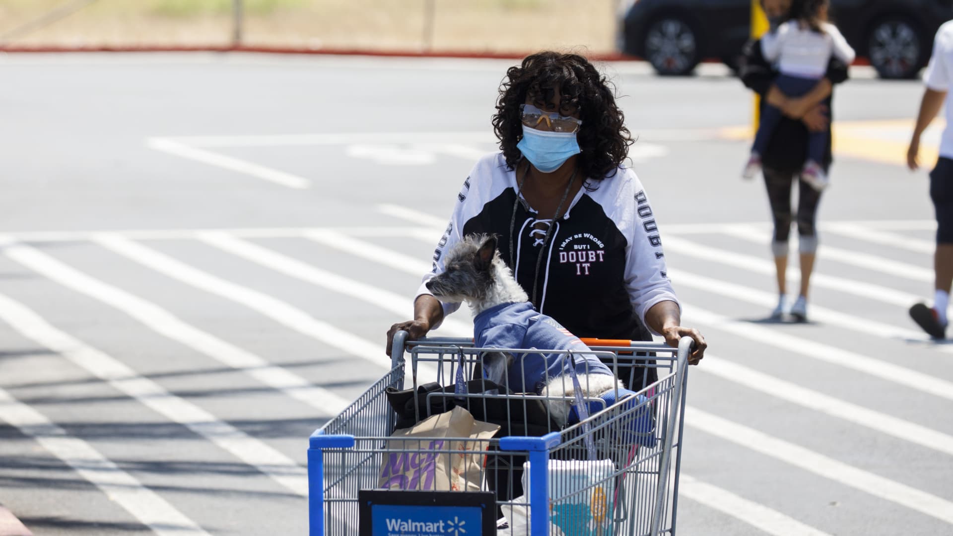 Walmart partners with Pawp to offer free pet telehealth