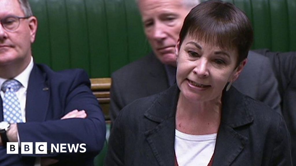 Tory refugee values ‘giant far-right foghorn’ – Greens