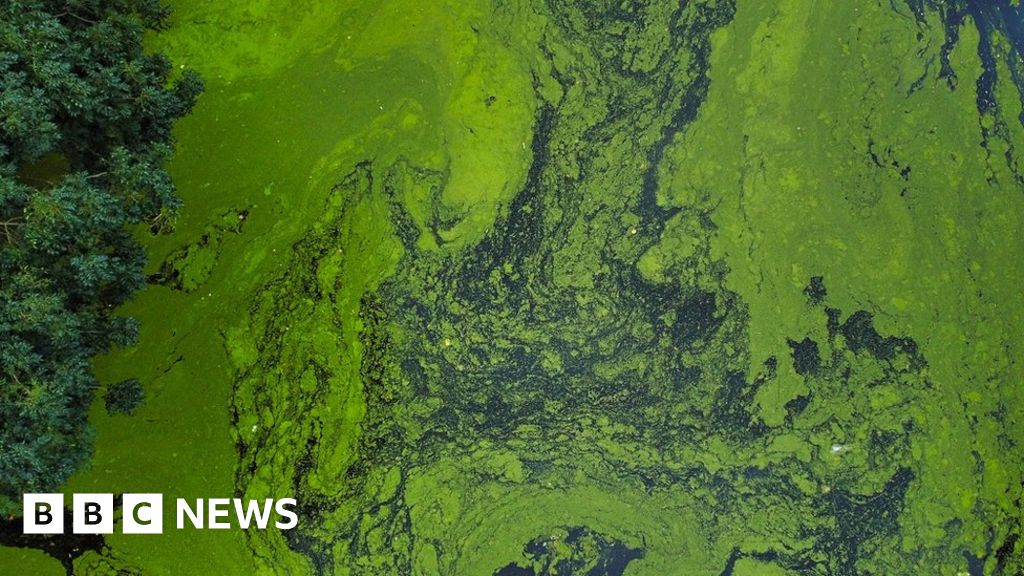 River sewage: England’s water firms issue apology