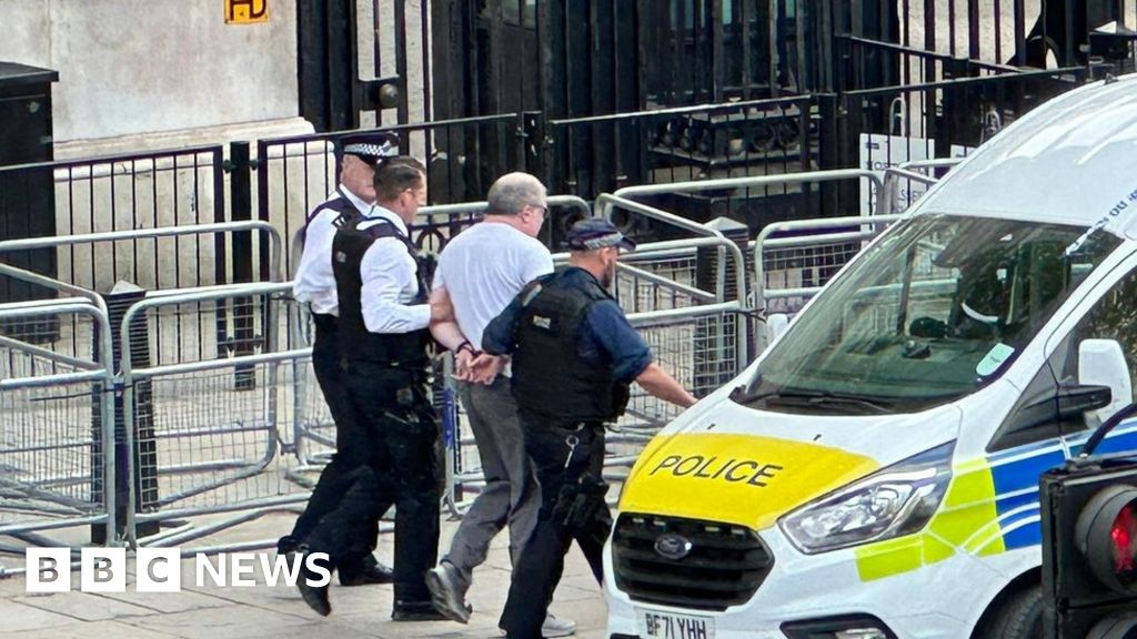Man arrested after car crashes into Downing Street gates