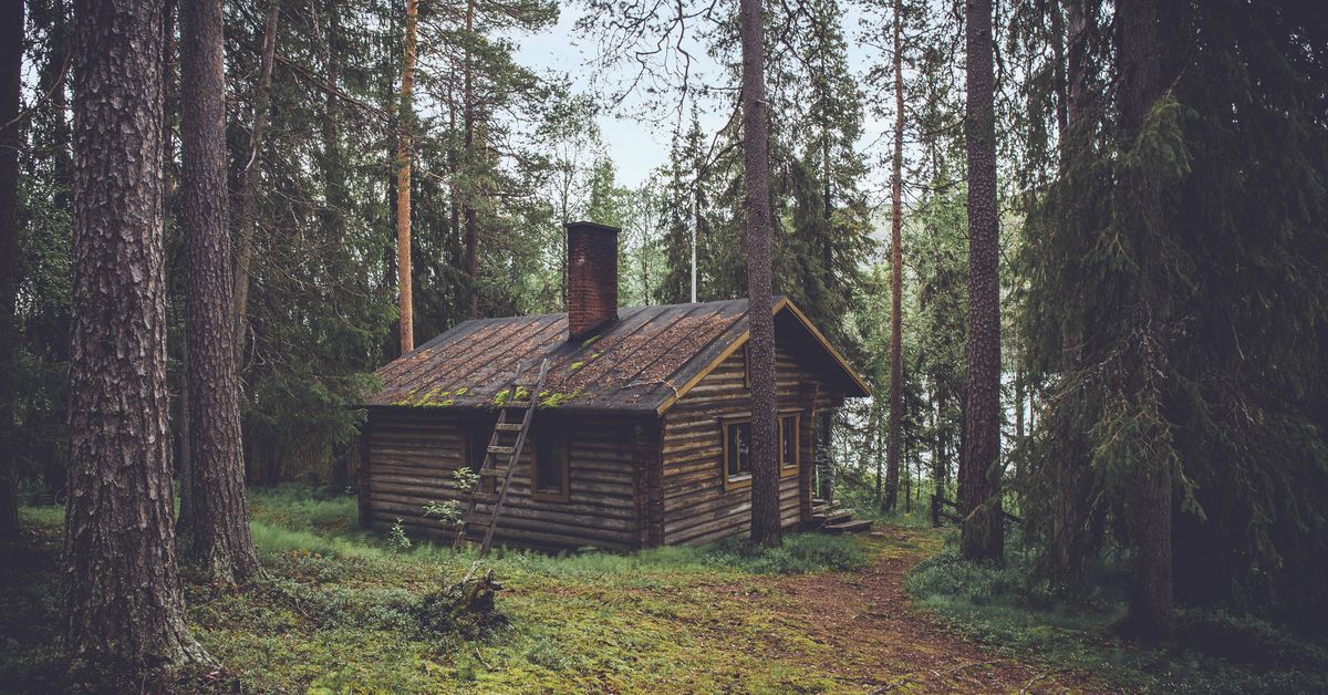 Social DAO Cabin Wants to Build a ‘Network City’
