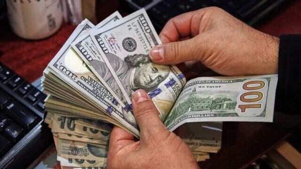 Forex reserves decline by $6.05 billion after three-consecutive weekly rises, now at $593.48 billion