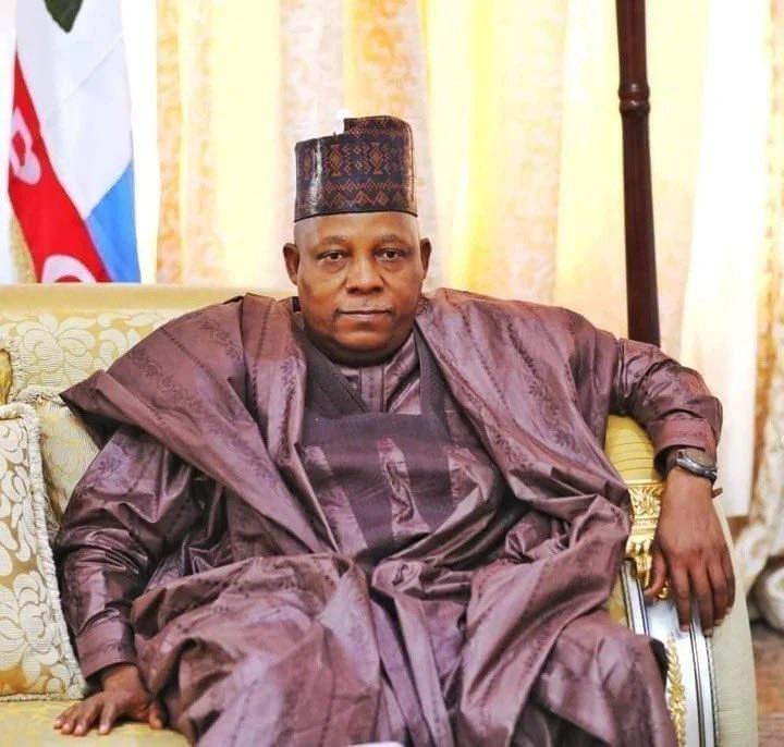 Fuel subsidy, multiple FX rates our top tasks says Shettima, vice president-elect