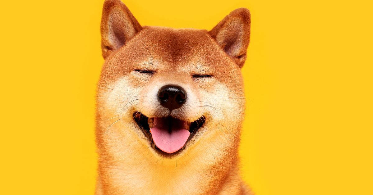 Shiba Inu’s Puppynet Testnet Logs 10M Transactions, Putting Ecosystem Tokens in Focus