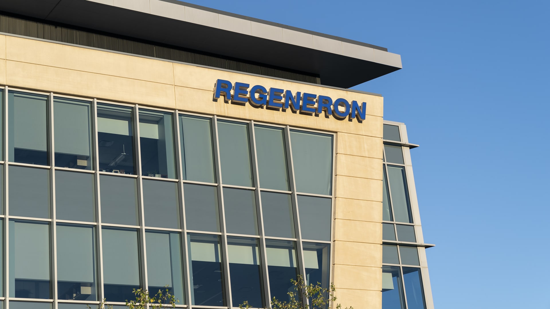 Regeneron shares fall after FDA rejects eye disease treatment