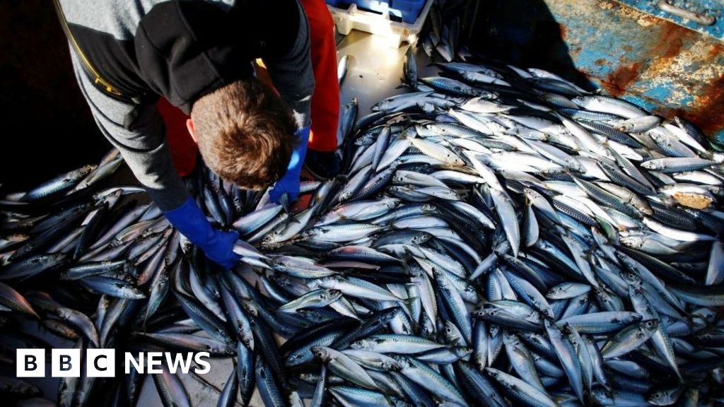 MP says East fishing industry ‘still struggling’ after Brexit