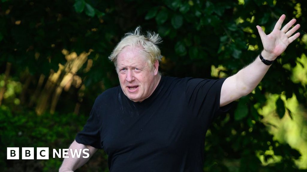 Partygate: Johnson allies to be criticised over Partygate probe