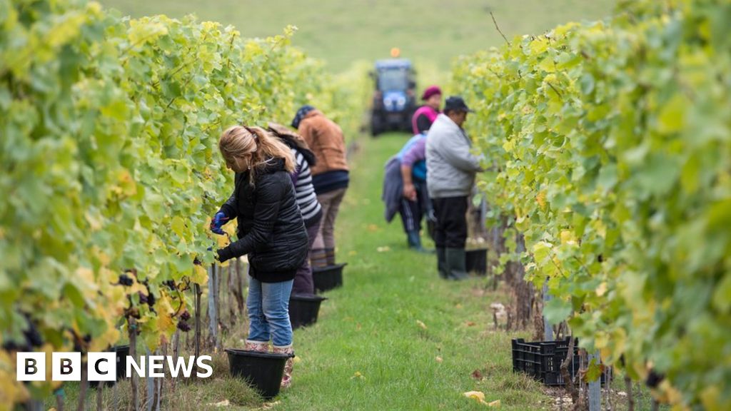 Migrant fruit-pickers are skilled workers, says ex-minister George Eustice