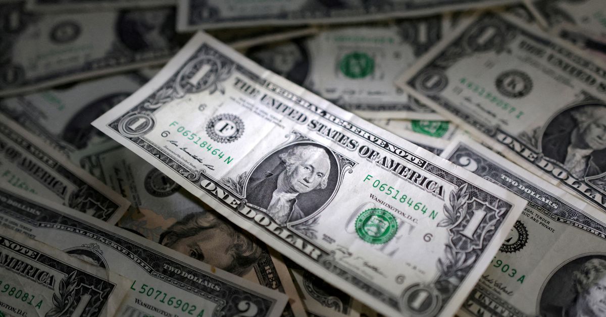 Dollar rallies after Fed signals rate hikes; yuan, kiwi slide