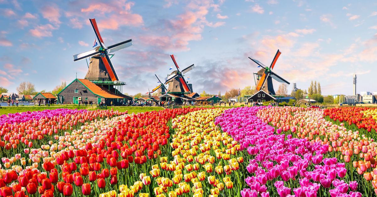 Binance to Quit Netherlands After Failing to Acquire License