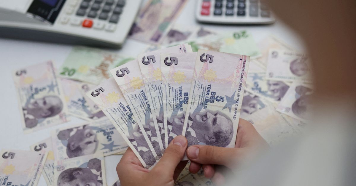 Lira plunges more than 7% as Turkey edges towards free market