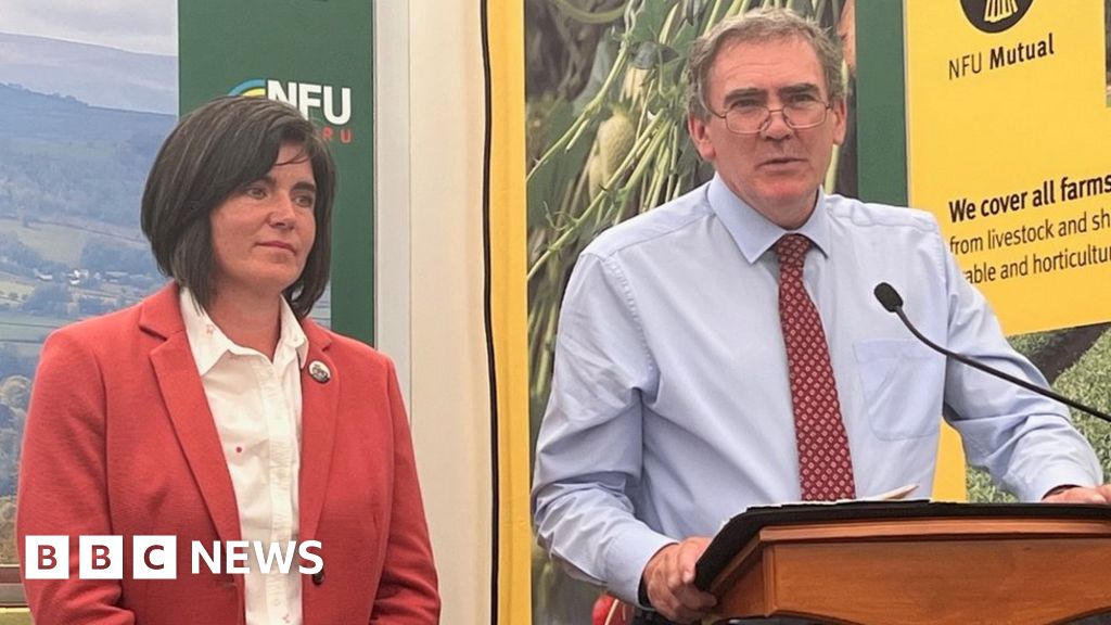 Climate: NFU Cymru leaders boycott tree planting scheme
