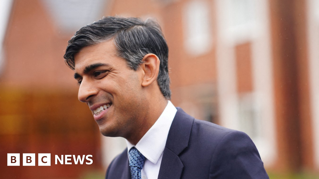 Rishi Sunak vows not to add 'unnecessary' costs to meet green targets