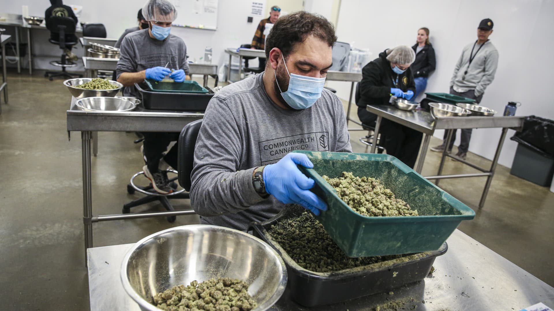 HHS calls for easing marijuana restrictions