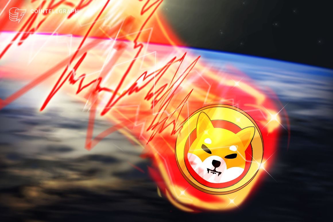 SHIB, BONE, LEASH tokens dip amid rumors of $2.5M Shibarium gaffe SHIB, BONE, LEASH tokens dip amid rumors of $2.5M Shibarium gaffe